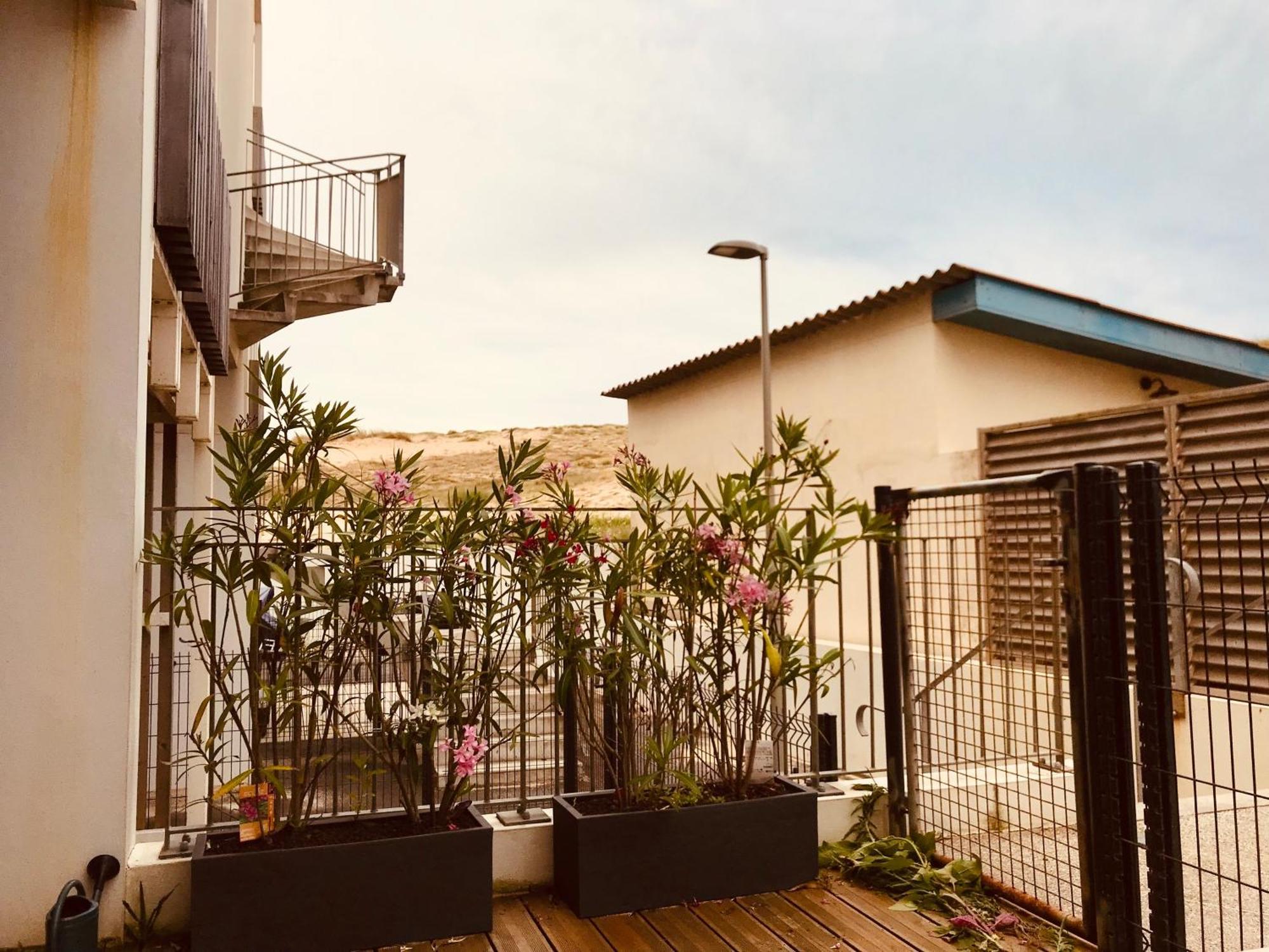 La Residence La Pomme De Pin - Vieux-Boucau-Les-Bains - 3 Pieces, 6 Personnes 外观 照片
